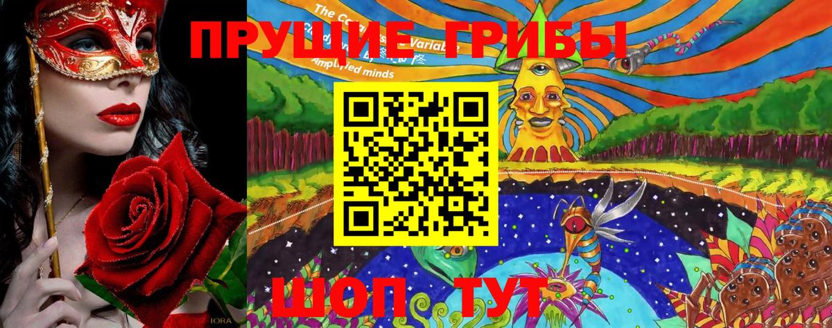 где купить наркоту  Галлюциногенные грибы MAGIC MUSHROOMS  Вход с VPN  Саров  Галлюциногенные грибы GOLDEN TEACHER 