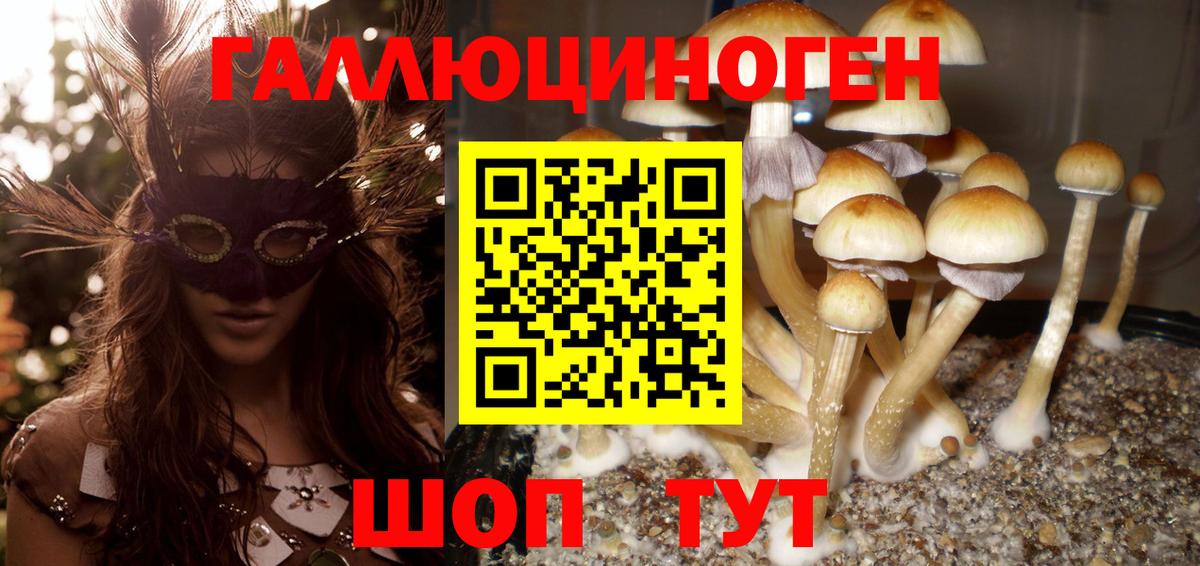 A PVP Саров