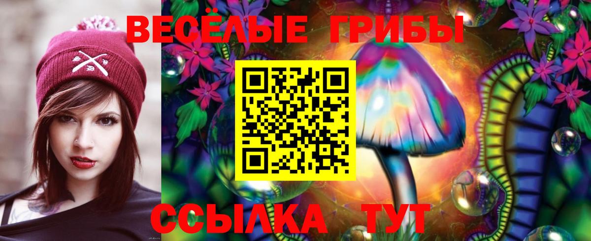 Галлюциногенные грибы прущие грибы Саров